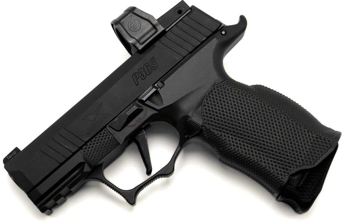 Icarus Precision A.C.E P365 X EVO grip module