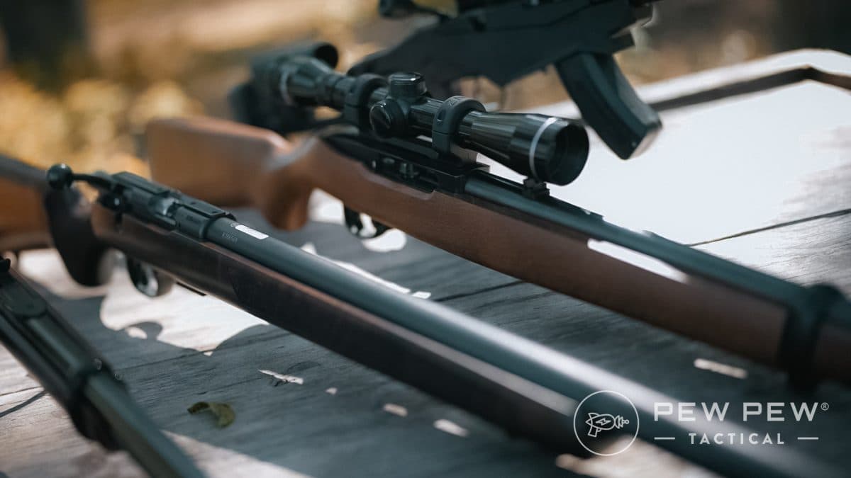 Ruger 10/22