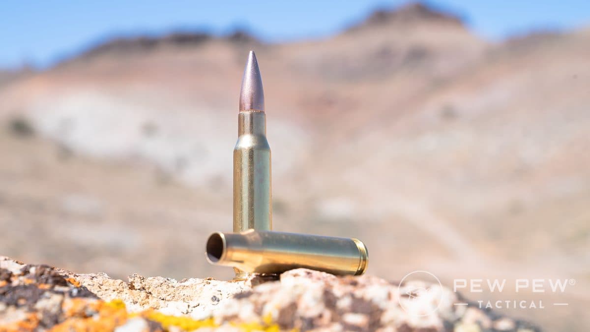 PMC Bronze .308 Win