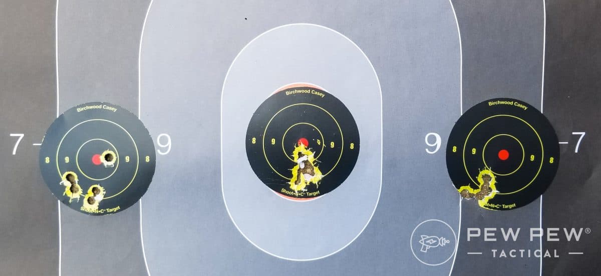 Sig P365 AXG Legion Targets