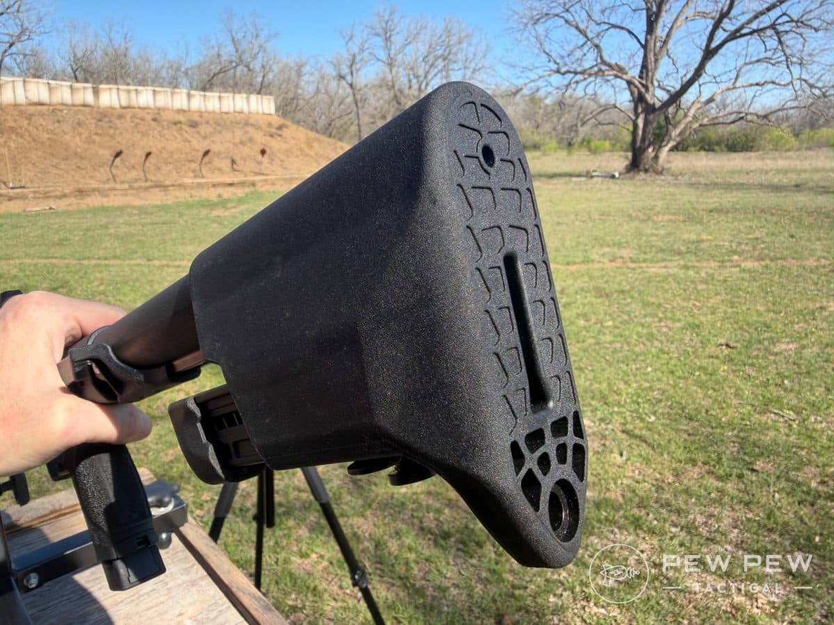 S&W FPC 22LR Buttstock