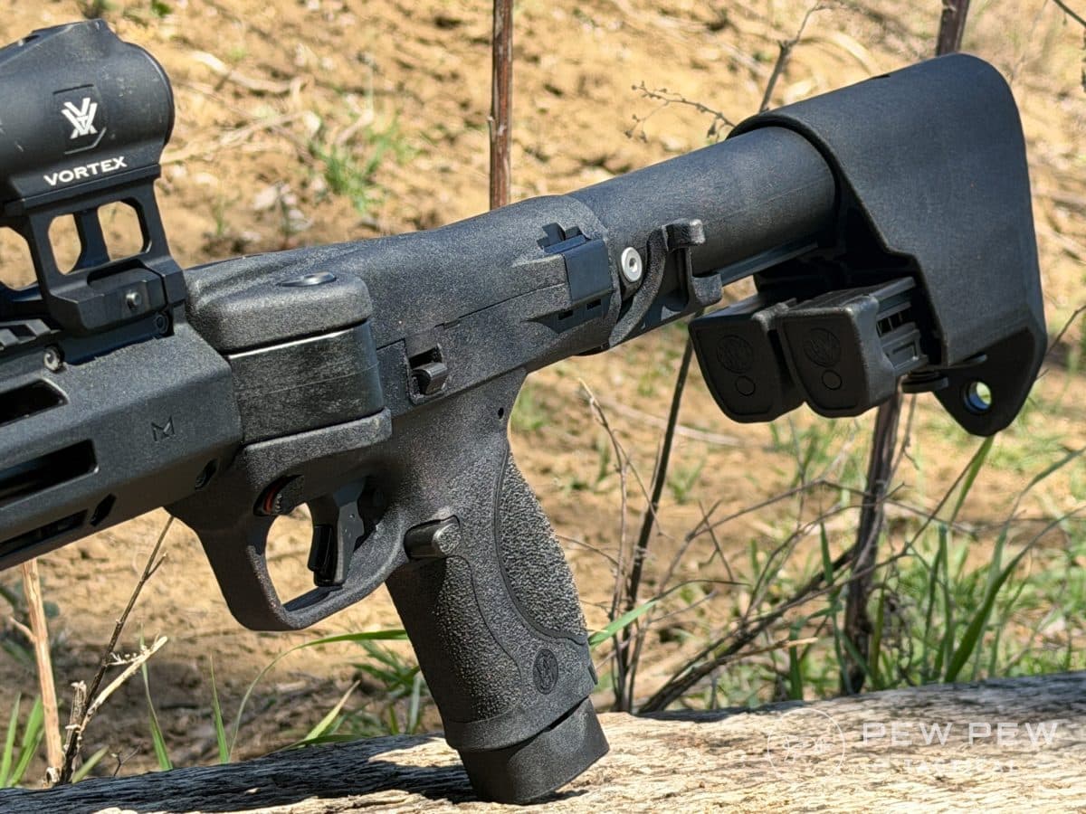 S&W FPC 22LR Controls