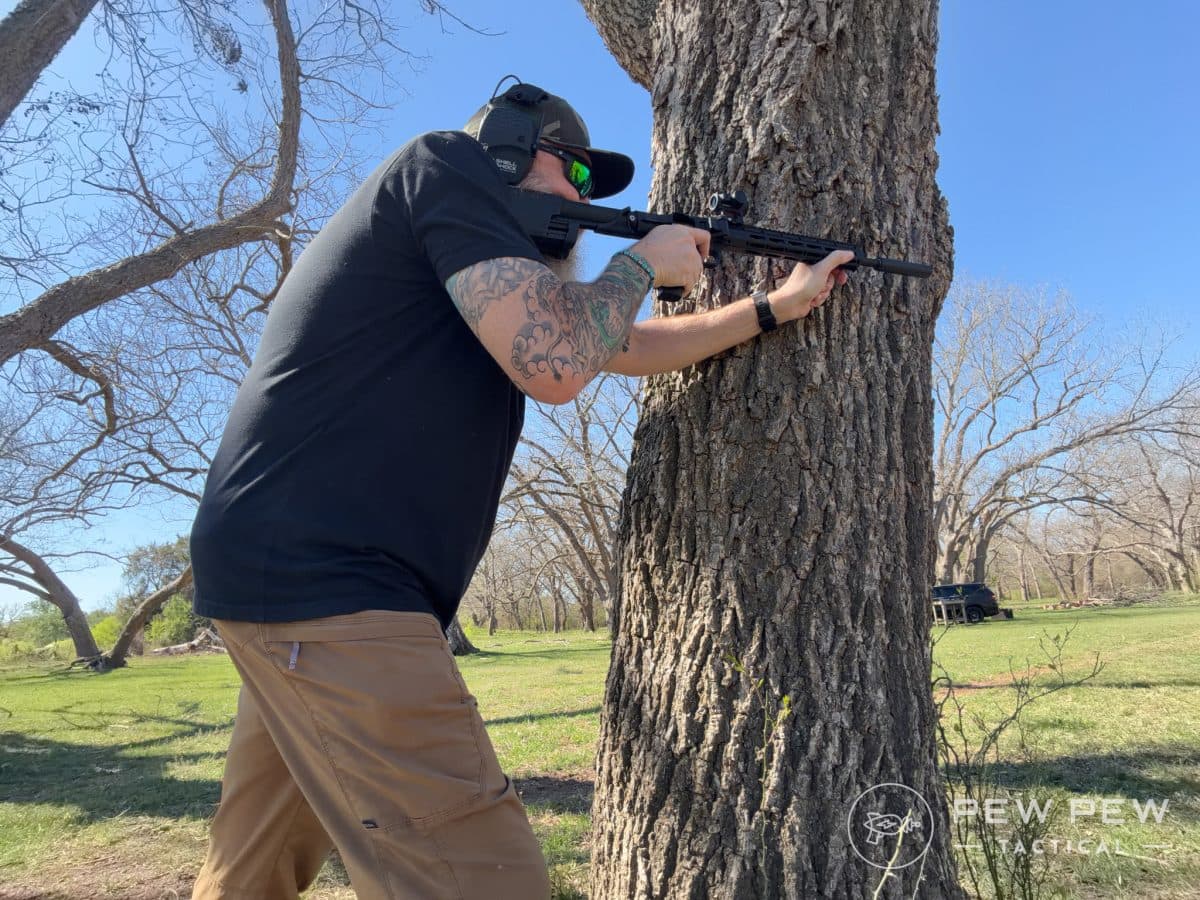 S&W FPC 22LR Treed