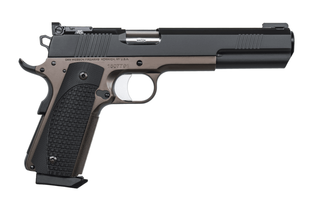 Dan Wesson Bruin