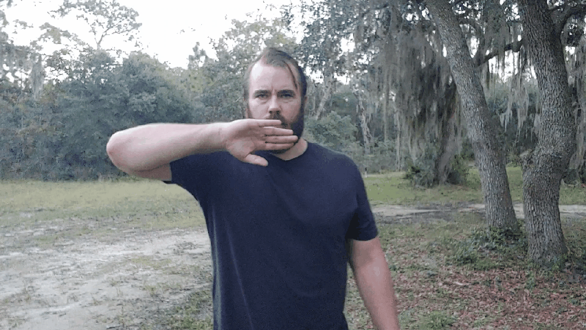 Cease Fire Hand Signal