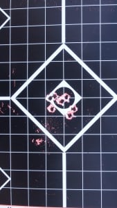 Ruger American, PP