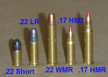 Common Rimfire Ammunition Examples