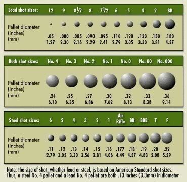 Shotgun Gauge Chart