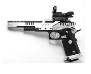 Competition 1911 with Red Dot