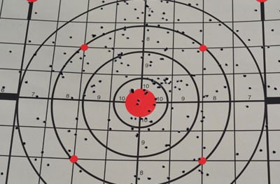 [Image: 7.5-Birdshot-at-10-Yards.jpg]