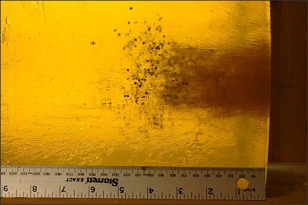 Shotgun penetration gelatin Shotgun penetration gelatin