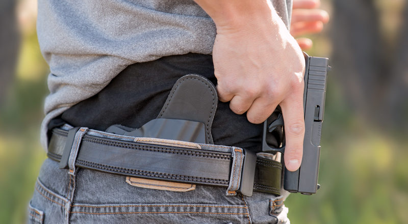 Alien Gear Holster