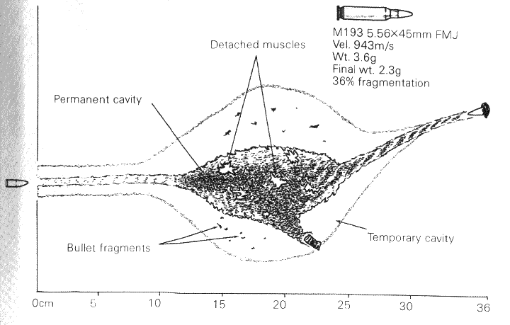 300 Whisper Trajectory Chart