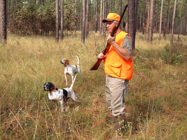 Hunter with dogs and shotgun