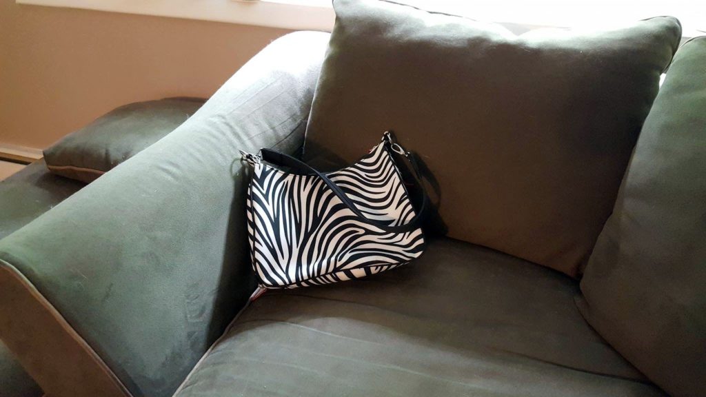 Purse on Couch