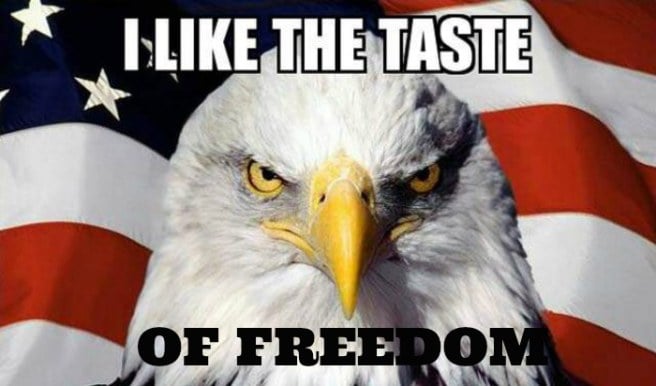 Taste Of Freedom