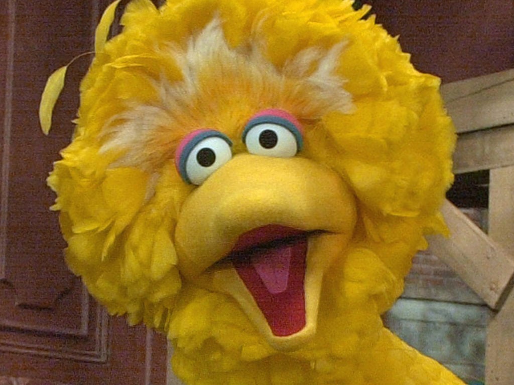 Big Bird