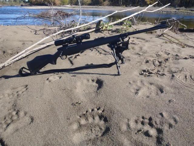 weatherby mark v near bear tracks