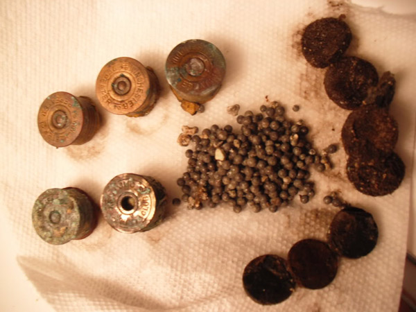 Corroded shotgun shell parts