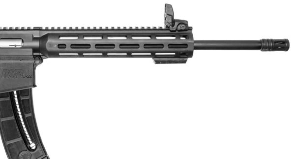 Sistema de raíles de la SW MP 15-22