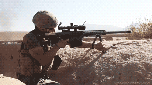 M82A1