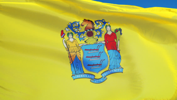 New Jersey State Flag