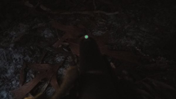 XS Big Dot Front Sight in the Dark