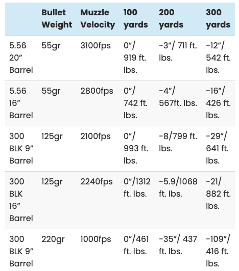 Terminal Ballistics 556 vs 300 BLK