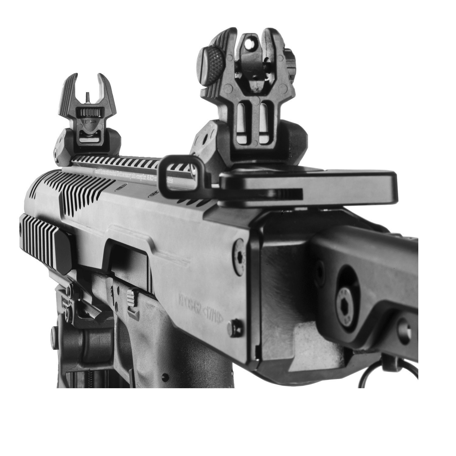 Best Backup Iron Sights (BUIS) [ViewThroughs] Xpert Tactical