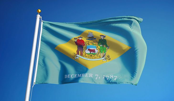 Delaware state flag