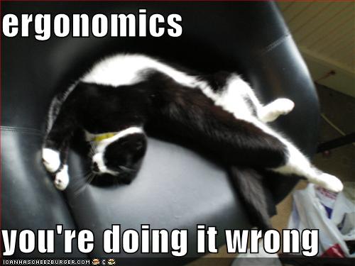 ergonomics kitty meme