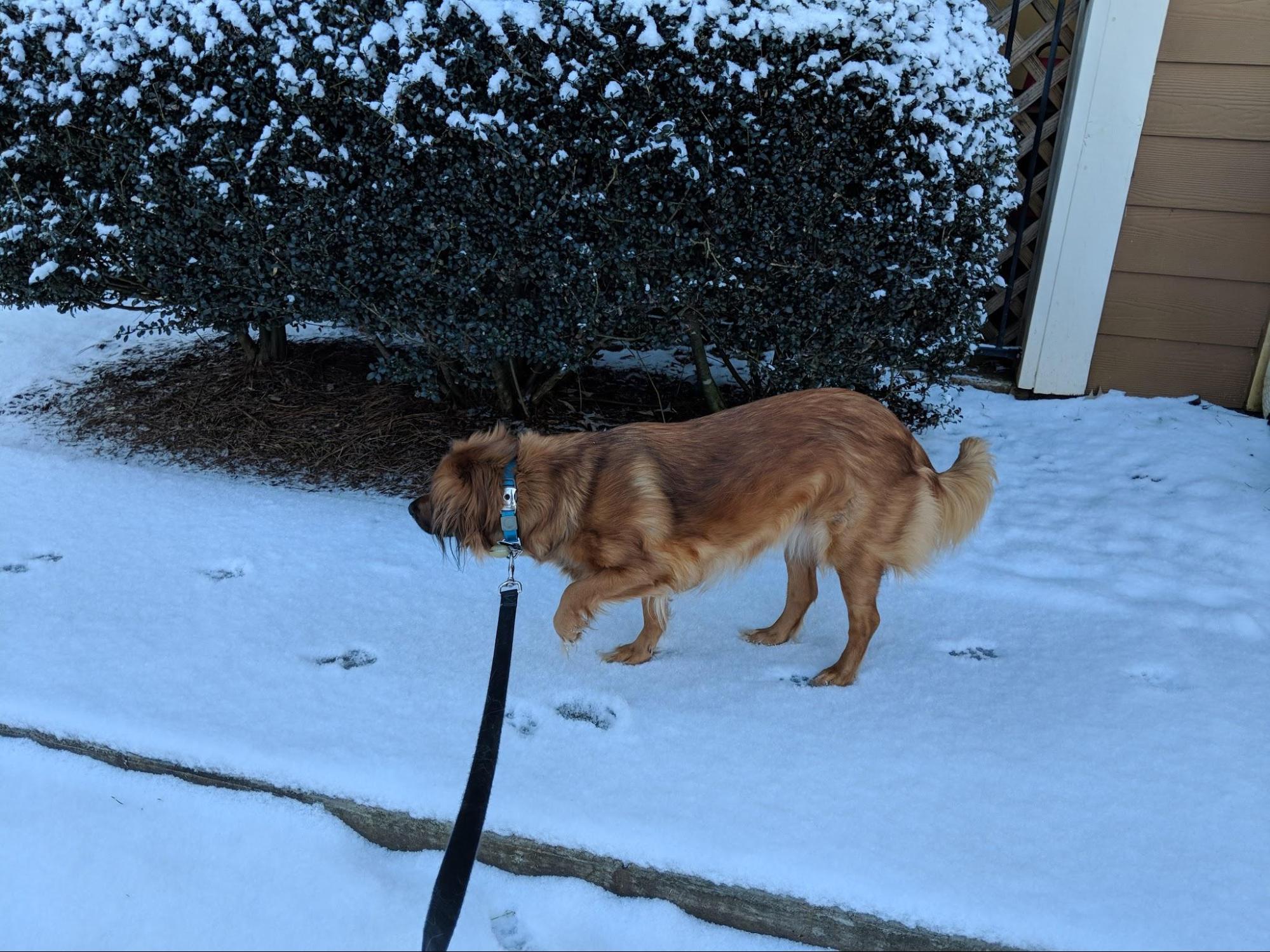 4 Best Pepper Spray for SelfDefense [Tested + Video] Pew Pew Tactical