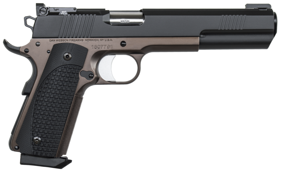 Dan Wesson Bruin
