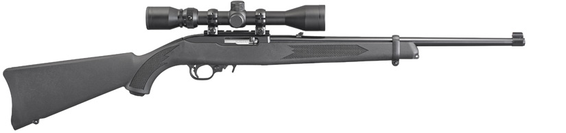 Ruger 10_22 Carbine, Model 21194 - A More Modern Take on a Classic