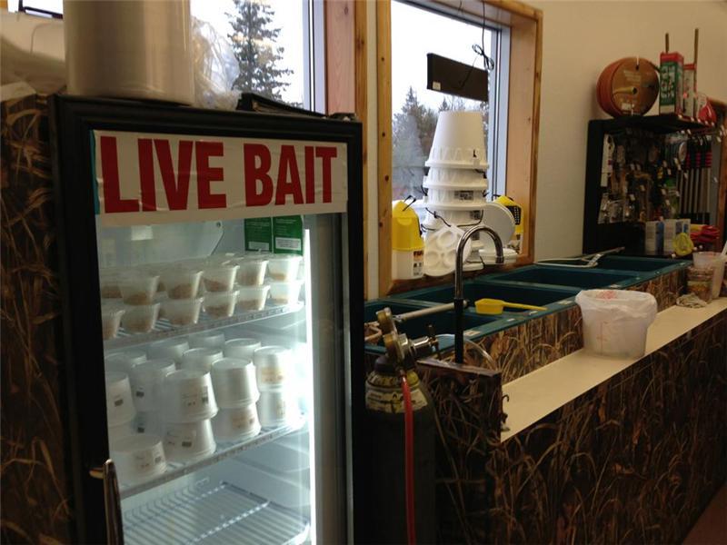 Live Bait Shop