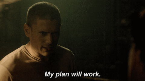 Plan will work