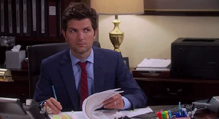 parks and rec accountant