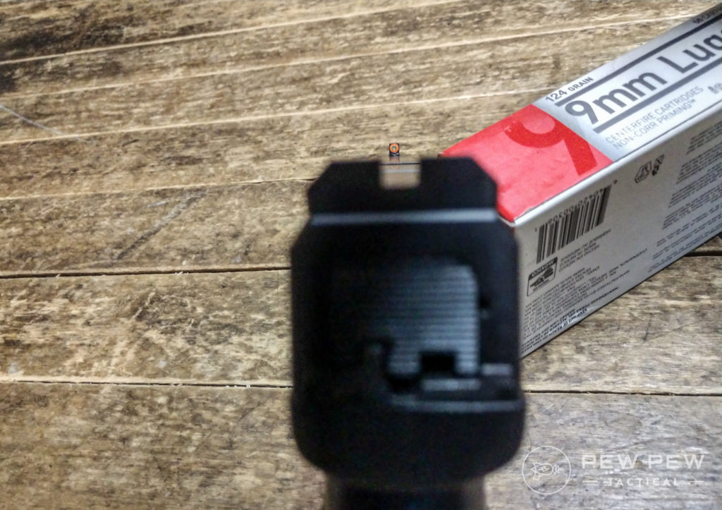 CZ P10C rear sights