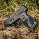 Taurus G2C in hay