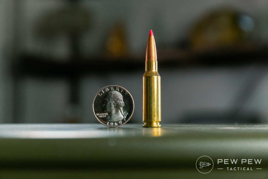 Best Coyote Hunting Cartridges: Rimfire, Centerfire & Shotgun