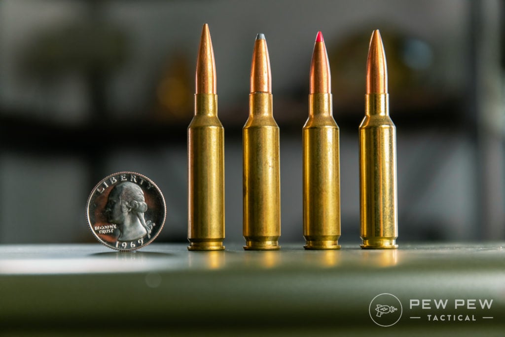 Assorted 6.5 Creedmoor (L to R: Federal FMJ, Soft 129gr, Ballistic Tip 120gr, Gold Medal 140gr)