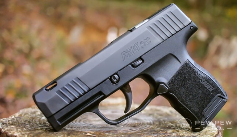 Sig P365 SAS On A Rock