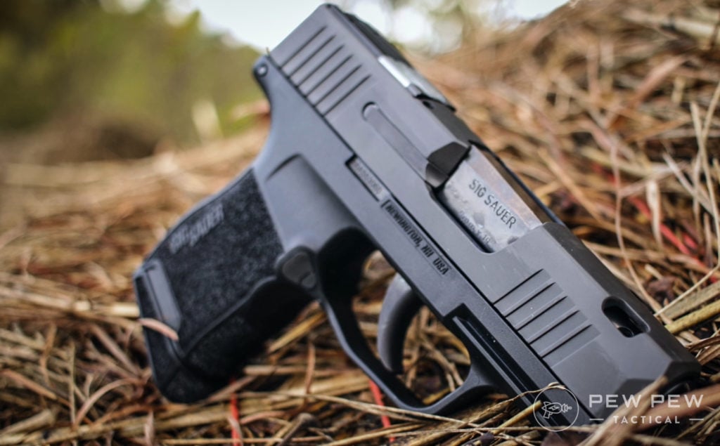 Sig P365 SAS in straw