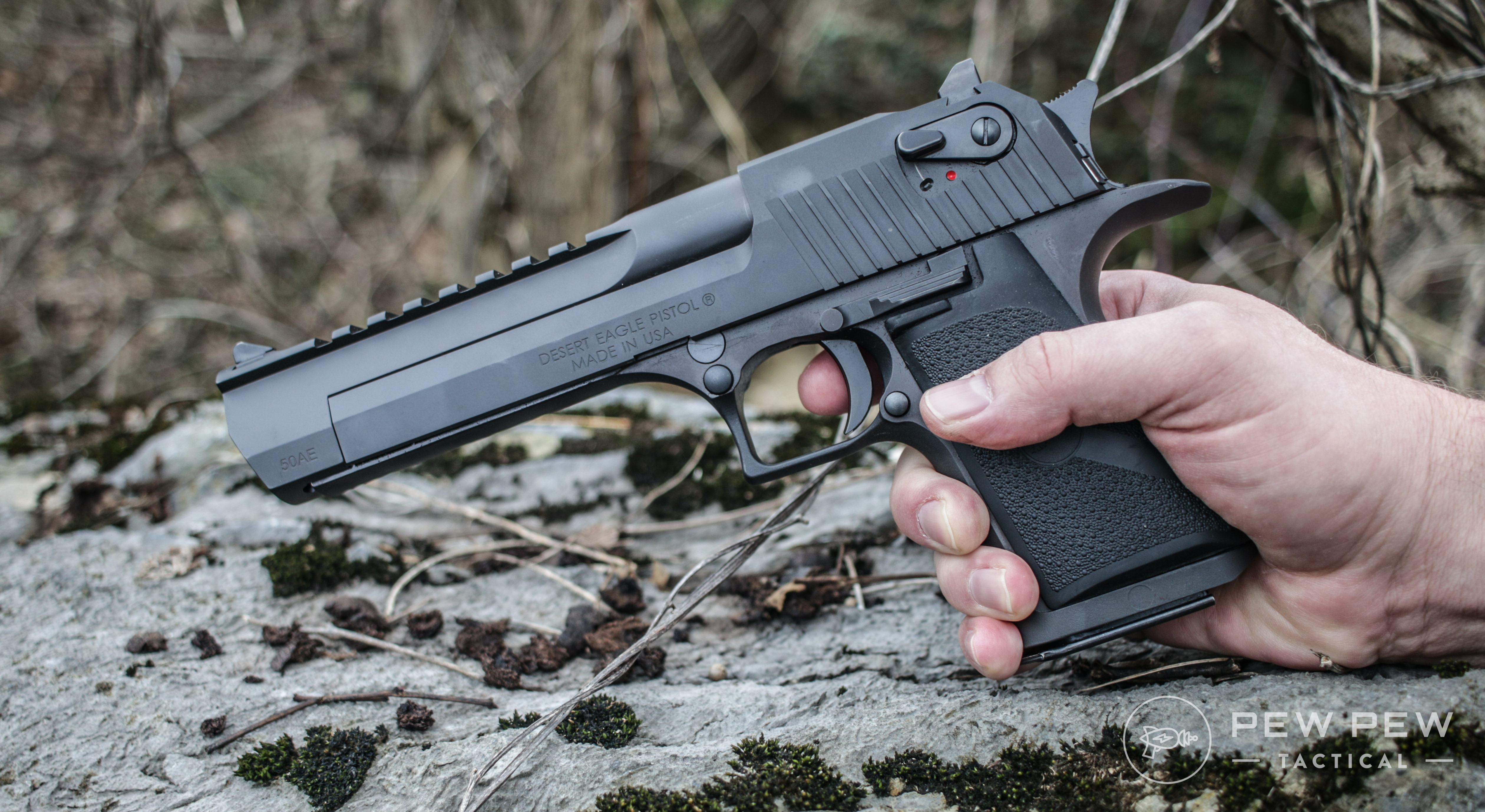 Desert-Eagle-2.jpg