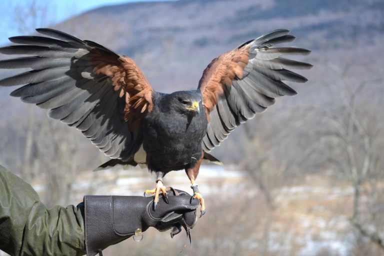 Best Shooting Ranges in the World A Bucketlist Pew Pew Tactical