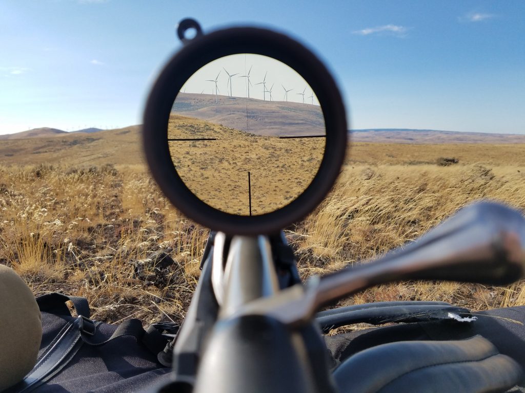 Vortex Razor Gen 3 1-10X down sight