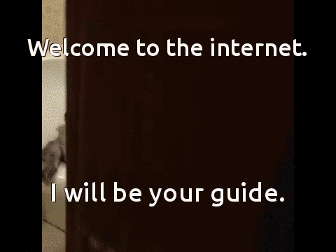 welcome to the internet i'll be your guide