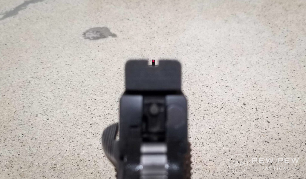 Fiber Optic Sights View