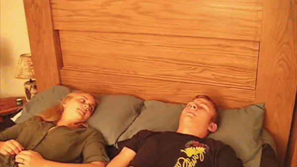 Gun Bed