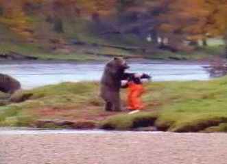 Bear Gif